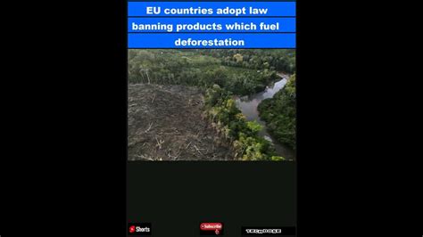 EU countries adopt law banning products which fuel deforestation